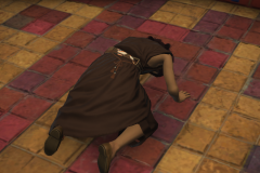 Final-Fantasy-XIV-A-Realm-Reborn-Screenshot-2022.04.12-22.14.13.67