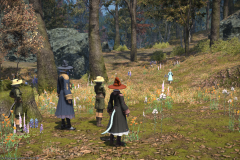 ffxiv_07122017_024342
