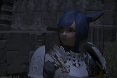 ffxiv_25122017_014608