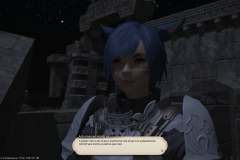 ffxiv_25122017_014734