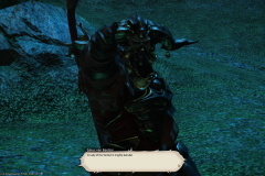 ffxiv_25122017_222525