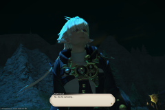 ffxiv_25122017_222806