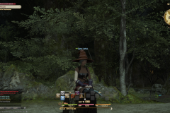 ffxiv_29112017_165351