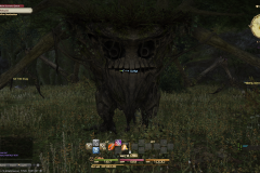 ffxiv_29112017_181042